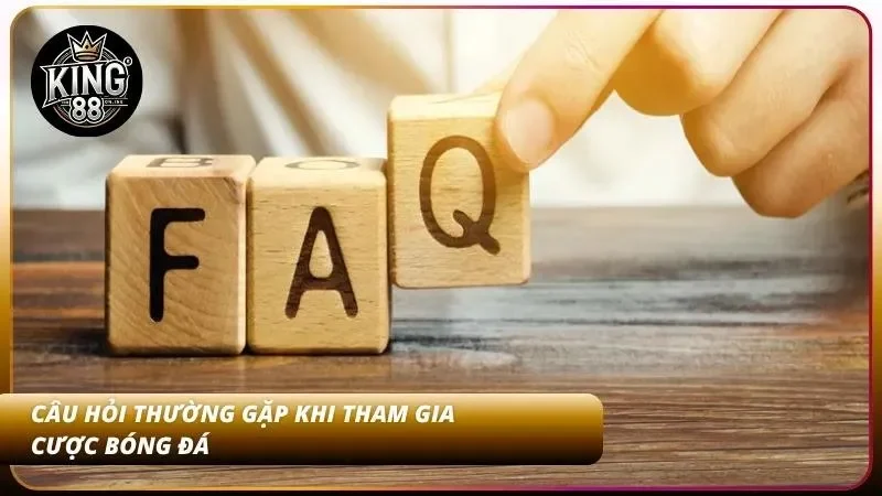 Những thắc mắc này xuất hiện ở hầu hết người mới